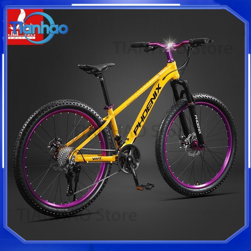Aluminium-Legierung Mountainbi – Mountain Biking Phoenix Bewertung und Preis
