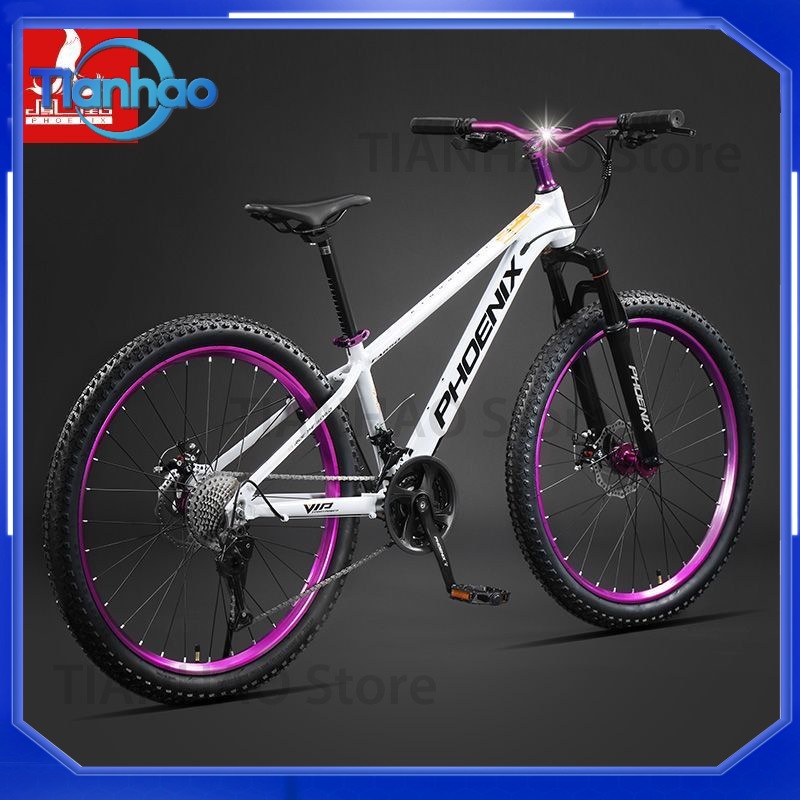 Aluminium-Legierung Mountainbi – Mountain Biking Phoenix Bewertung und Preis