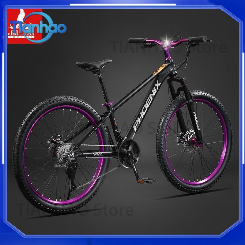 Aluminium-Legierung Mountainbi – Mountain Biking Phoenix Bewertung und Preis