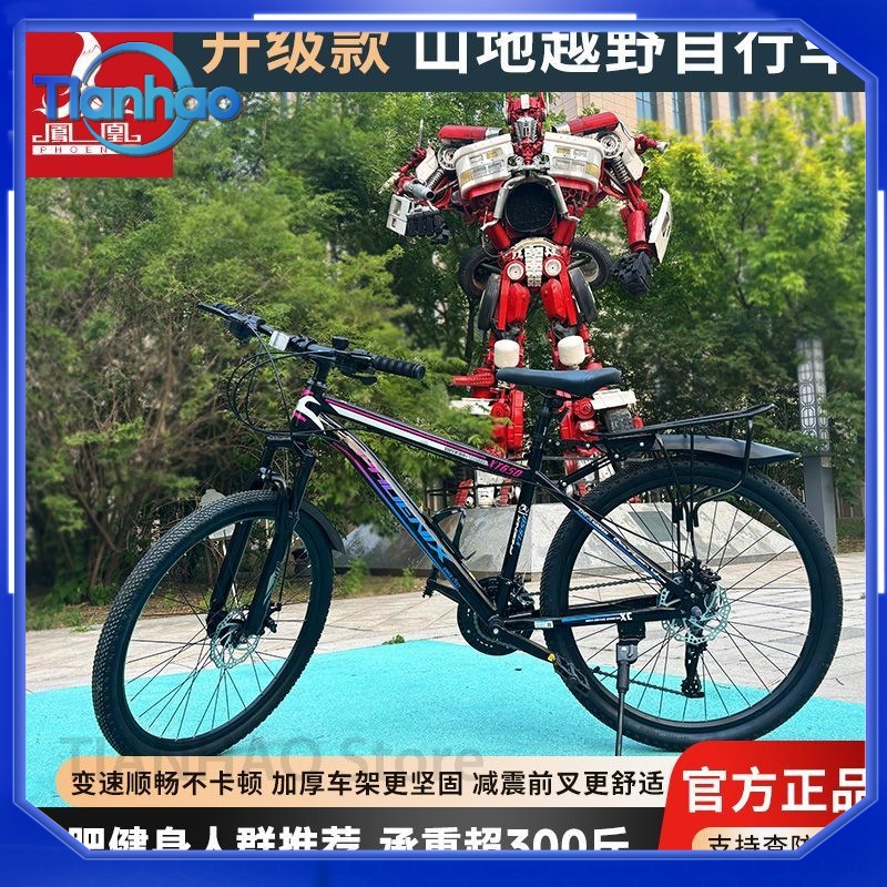Mountainbike von Shanghai Phoe – Mountain Biking Phoenix Bewertung und Preis